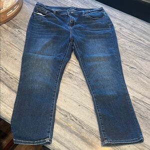 Judy Blue Dark Wash Capri Fit Jeans